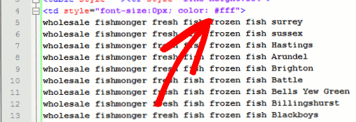 Black Hat techniques in SEO